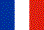 French Flag French Flag