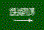 Saudi Arabia flag Saudi Arabia flag