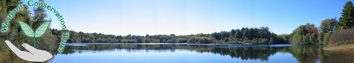 Nashoba Pond