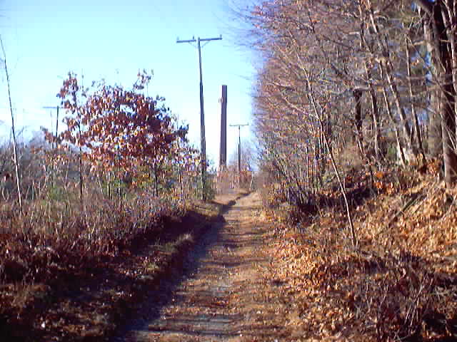 March2004_0030.jpg (55919 bytes)