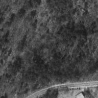 Route 40
