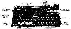 Apple-1 Motherboard